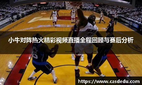 小牛对阵热火精彩视频直播全程回顾与赛后分析